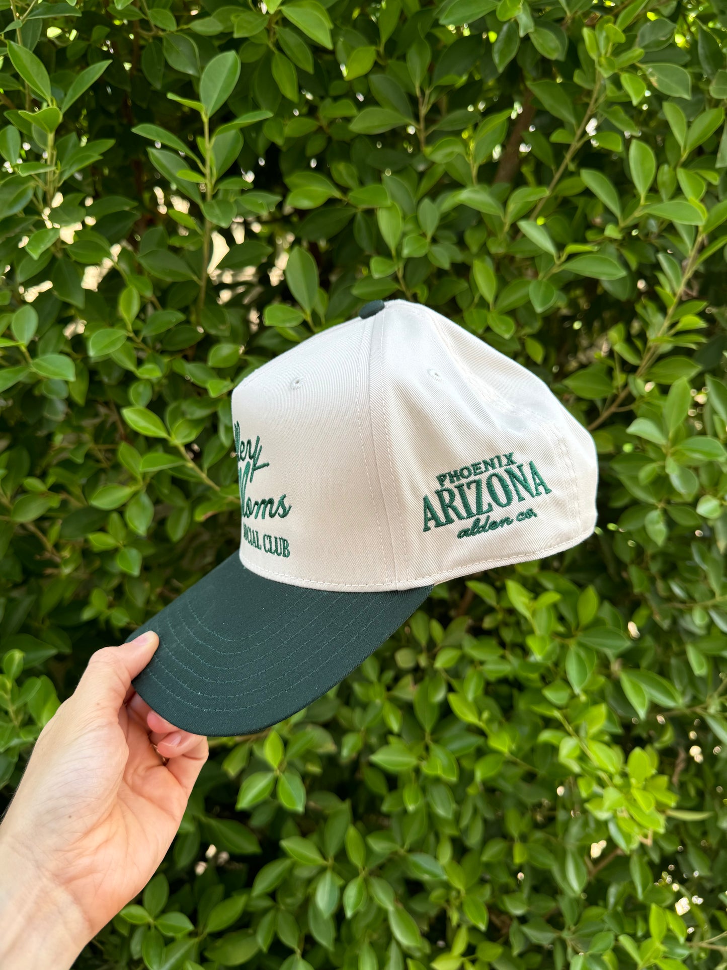 Valley Moms Social Club Hat - Green